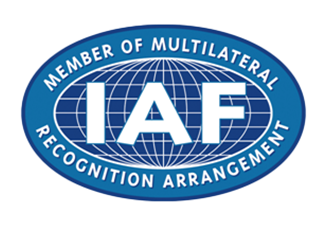 IAF member